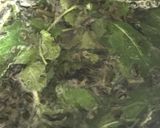 A picture of step 4 of Whisky Berbère - Moroccan mint tea.