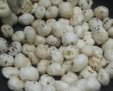 A picture of step 2 of Poha Makhana Ladoo.