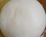 Foto langkah ke 1 dari resep Pizza Oven Homemade.