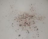 A picture of step 2 of Coffee.