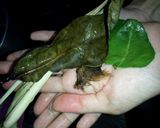 Foto langkah ke 1 dari resep Sambel Goreng Ati Ampla.