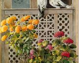 عکس مرحله 3 از دستور کیک شکلاتی پنبه ای با کرمفیل