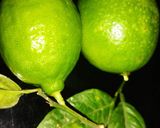 A picture of step 1 of Gondhoraj Ghol.