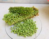 Foto del paso 1 de la receta: Infladita de flor de maguey (Yili chi yusha ita yavy)