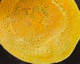 A picture of step 4 of Sattu cheela.