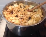 A picture of step 1 of Apple chutney.
