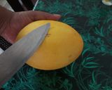 মাস্কমেলন মিল্কশেক (muskmelon milkshake recipe in Bengali) রেসিপি ধাপ - 1 ছবি