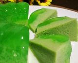 Foto langkah ke 5 dari resep Puding Lumut.
