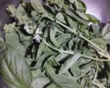 Foto del paso 4 de la receta: Pechuga de pollo con dos salsas