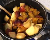 Une image de l'étape 5 de Compote aux fruits du jardin (pommes,pêches blanches,prunes d ente et quetsches).