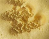 Foto del paso 5 de la receta: Pasta Frola (Mitad membrillo, mitad dulce de leche)