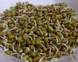 Sprout moong salad रेसिपी चरण 1 फोटो