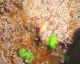 A picture of step 8 of Shinwari Karahi Qeemah.