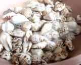 Hình bước làm 1 của món Ốc nhảy xào bơ phomai