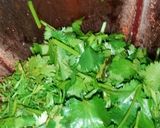 हरी चटनी (Hari chatni in recipe in hindi) रेसिपी चरण 2 फोटो