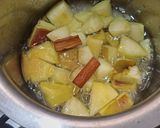 A picture of step 1 of Apple stew.