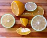 奇亞籽檸檬綠茶食譜步驟3照片
