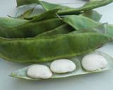 Foto del paso 2 de la receta: Arroz caldoso con tordos