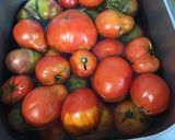 Une image de l'étape 1 de Sauce tomate aux herbes aromatiques, ail et oignon.