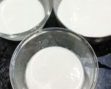 A picture of step 3 of Tricolour Uttapam.
