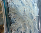 Foto del paso 7 de la receta: Canelones de pollo y setas