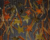 A picture of step 22 of Candied citrus peel.