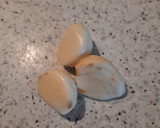 Foto del paso 2 de la receta: Patatas chiquititas en salsa verde