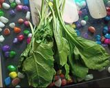 A picture of step 1 of Spinach Chickpea Flour Chamchamiya.