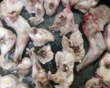 Foto del paso 3 de la receta: Conejo a la cazadora con ciruelas pasas y orejones