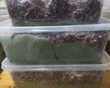 Foto langkah ke 8 dari resep 1009. Tape Ketan Mix Hitam+Putih ala Ibu (manis tanpa gula dan berair banyak).