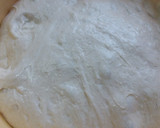 Foto del paso 5 de la receta: Barras de pan sin amasado