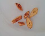 Foto del paso 2 de la receta: Tortilla de rossinyols (rebozuelos)