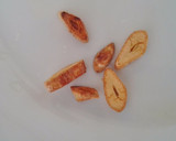 Foto del paso 2 de la receta: Tortilla de rossinyols (rebozuelos)