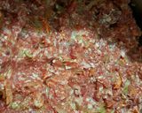 Foto del paso 8 de la receta: Pan de carne en masa crocante