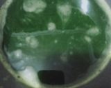 Foto langkah ke 2 dari resep Klepon Tepung Ketan Wangi Pandan.