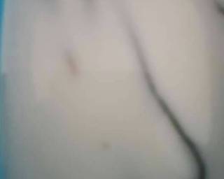 Cendol pulut durian by lely - Step 4