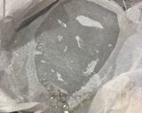 Foto del paso 7 de la receta Milhojas filete y berenjena