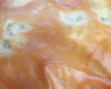 Foto del paso 11 de la receta: Pastela de pollo marroquí