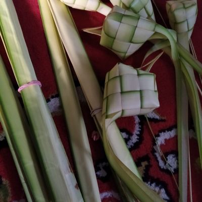Langkah 1