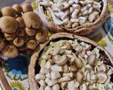 How to Make Portobelo Mushroom 2