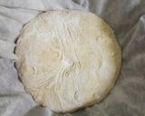 Foto del paso 8 de la receta: Pan de masa madre