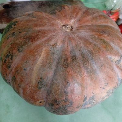 Langkah 1