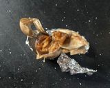 Foto langkah ke 4 dari resep Black Garlic Home Made.