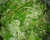 சத்துக்கள் நிறைந்த அரைக்கீரை கூட்டு ரெசிபி ஸ்டேப் 1 புகைப்படம்