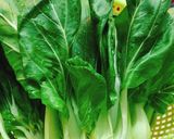 A picture of step 1 of Stir-Fried Bok Choy with Oyster Sauce.