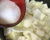 A picture of step 4 of Kimchi.