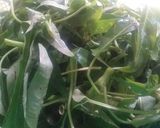 Foto langkah ke 1 dari resep ¹⁸⁰. Tumis Kangkung.