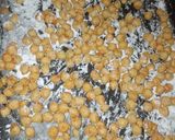 Foto del paso 3 de la receta: Garbanzos crocantes