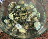 Foto del paso 1 de la receta: Almejas con vino blanco