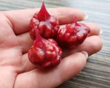 عکس مرحله 5 از دستور سوجوق انار 🌸
